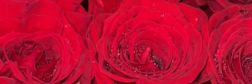 rrrqtr_'s profile banner image