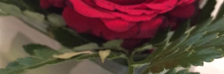 Queen_99__'s profile banner image