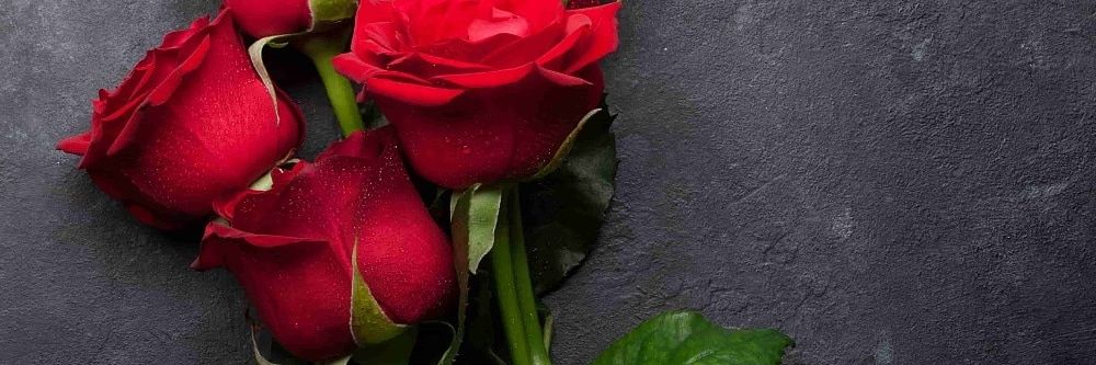 cherylsrobert's profile banner image