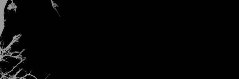 namoolh12's profile banner image