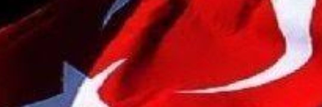 salsenn's profile banner image