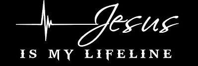 Christine 🇺🇸🦩 banner