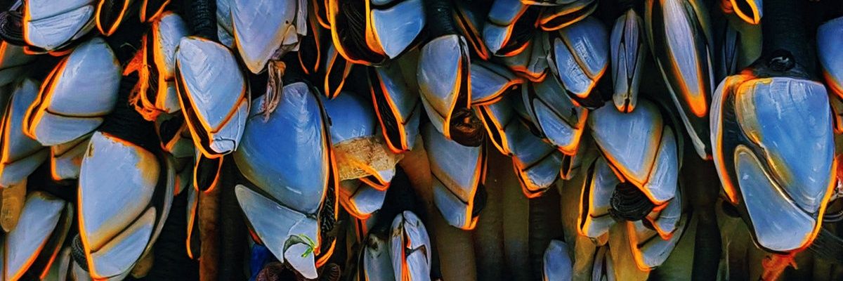 ConghaileD's profile banner image