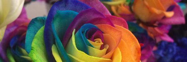 Bethanyrosetl Profile Banner