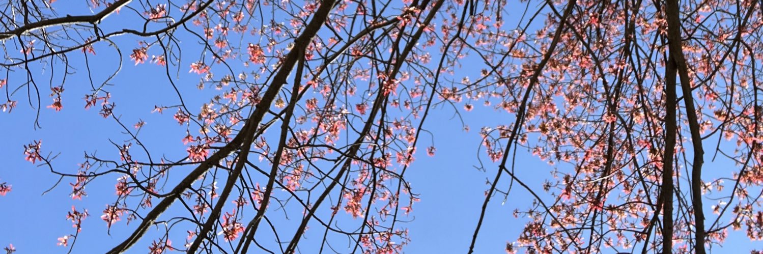 damnittdes's profile banner image