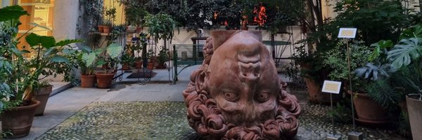 saccomodi Profile Banner