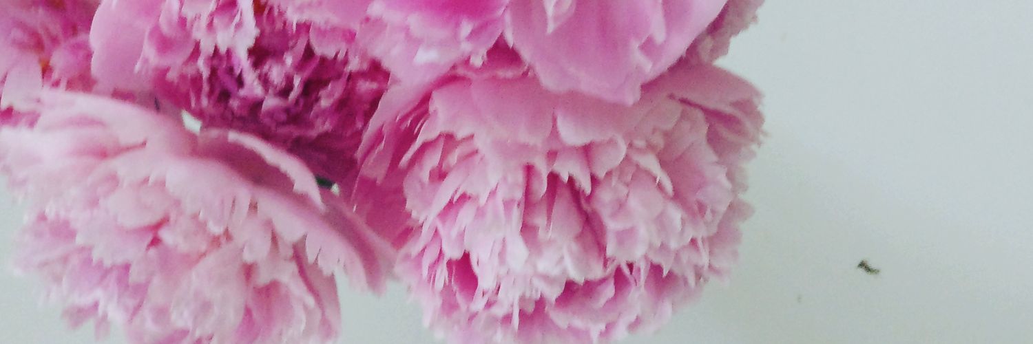 TainaKTaipale's profile banner image