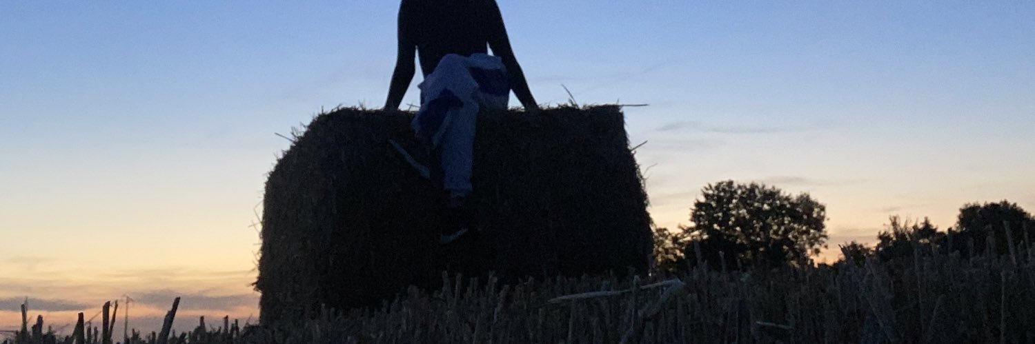 loganancel's profile banner image