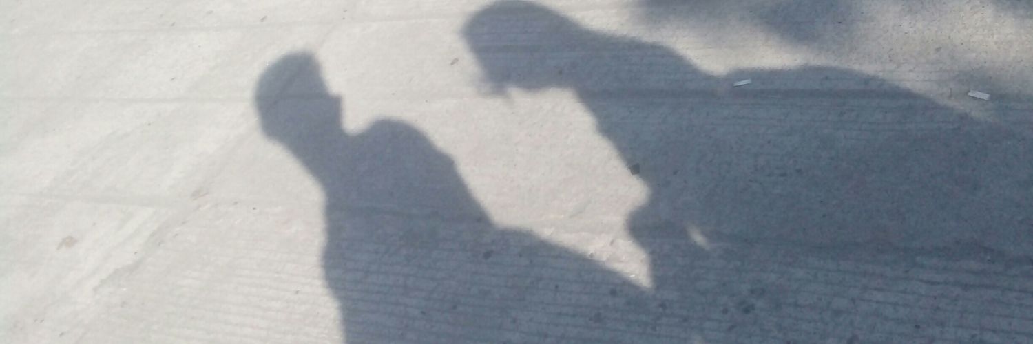 RonMendaro's profile banner image
