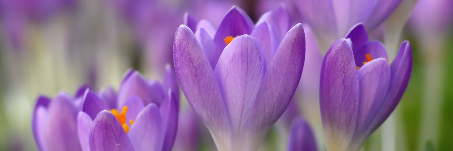 Clark County WA banner