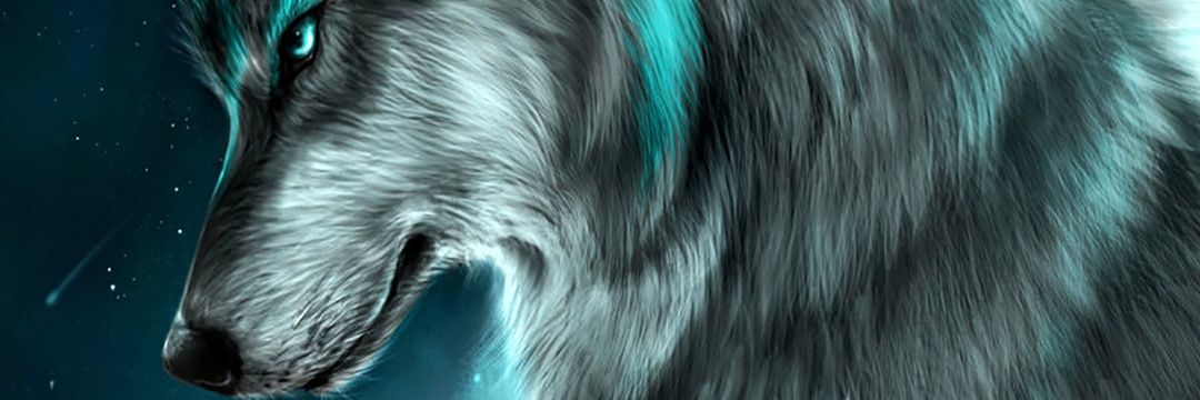 Mrwulfe's profile banner image