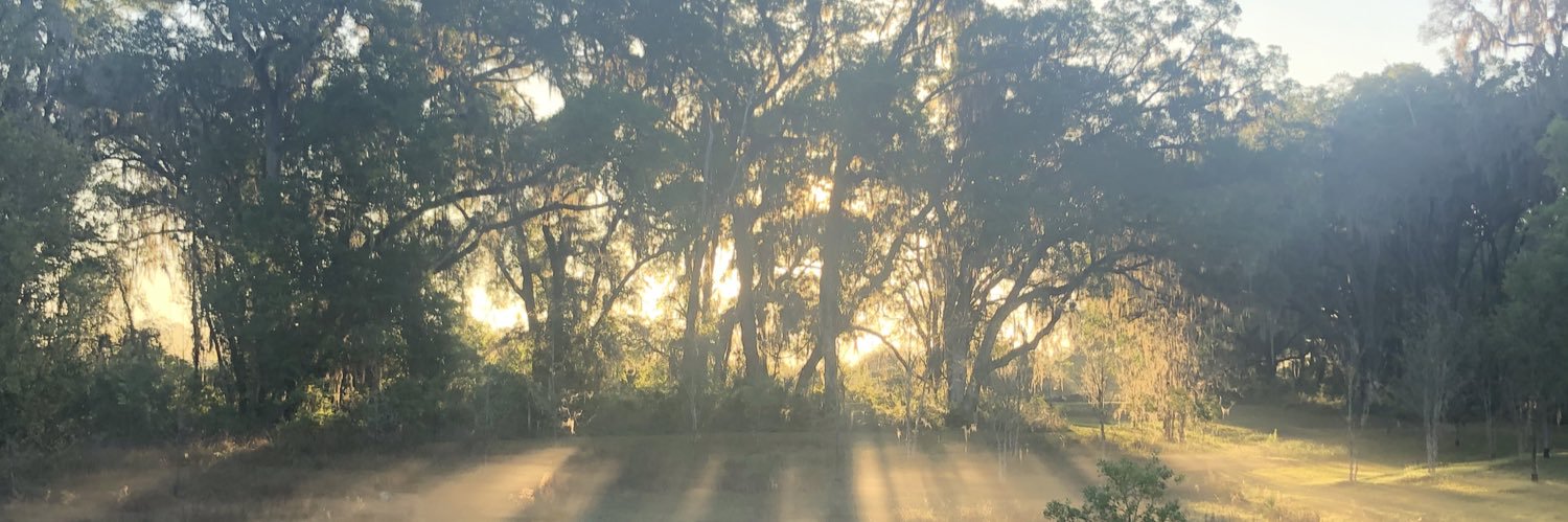 RobbySkinner's profile banner image