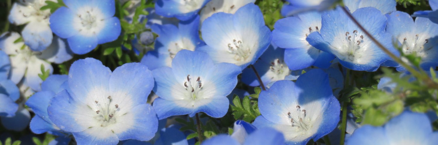 e7_blue's profile banner image