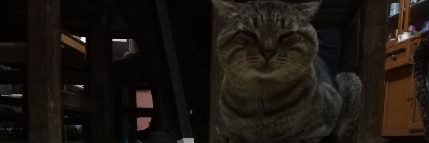 IttzelNava's profile banner image