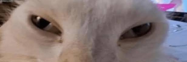 iGabler_'s profile banner image