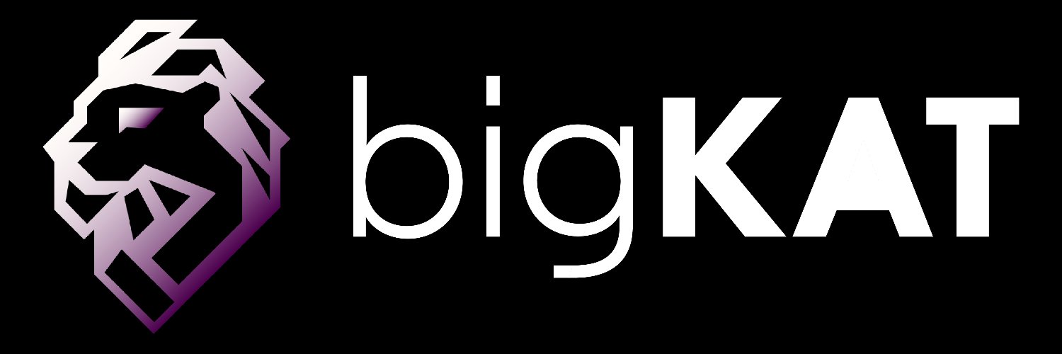 bigKAT_23's profile banner image