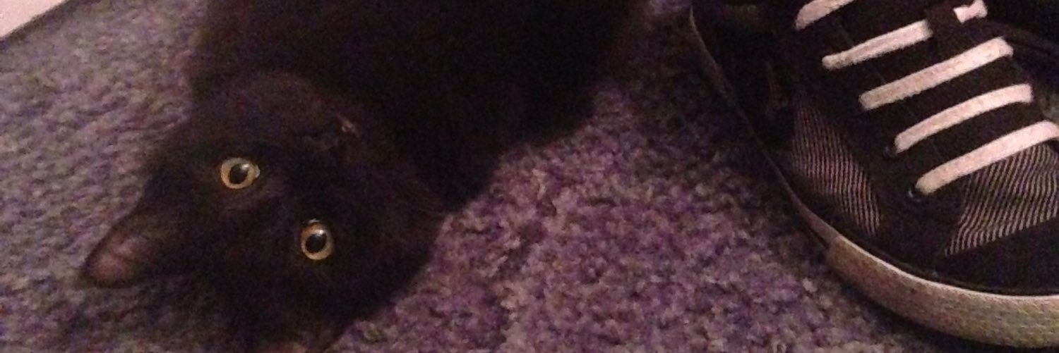 TayRay34's profile banner image