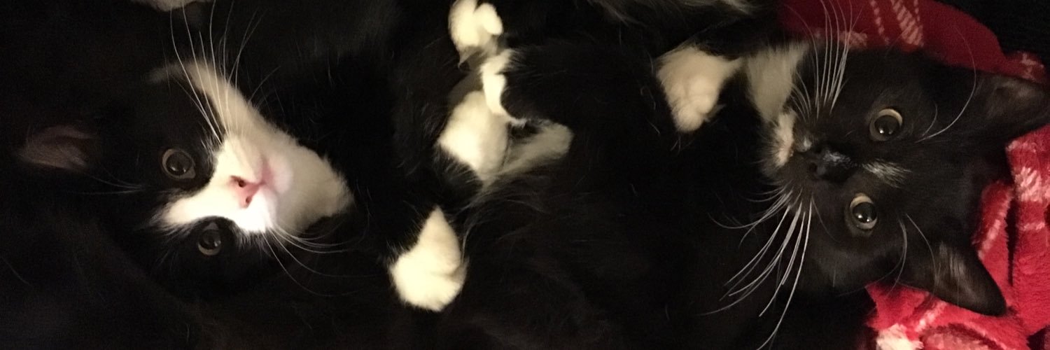 clowancec's profile banner image