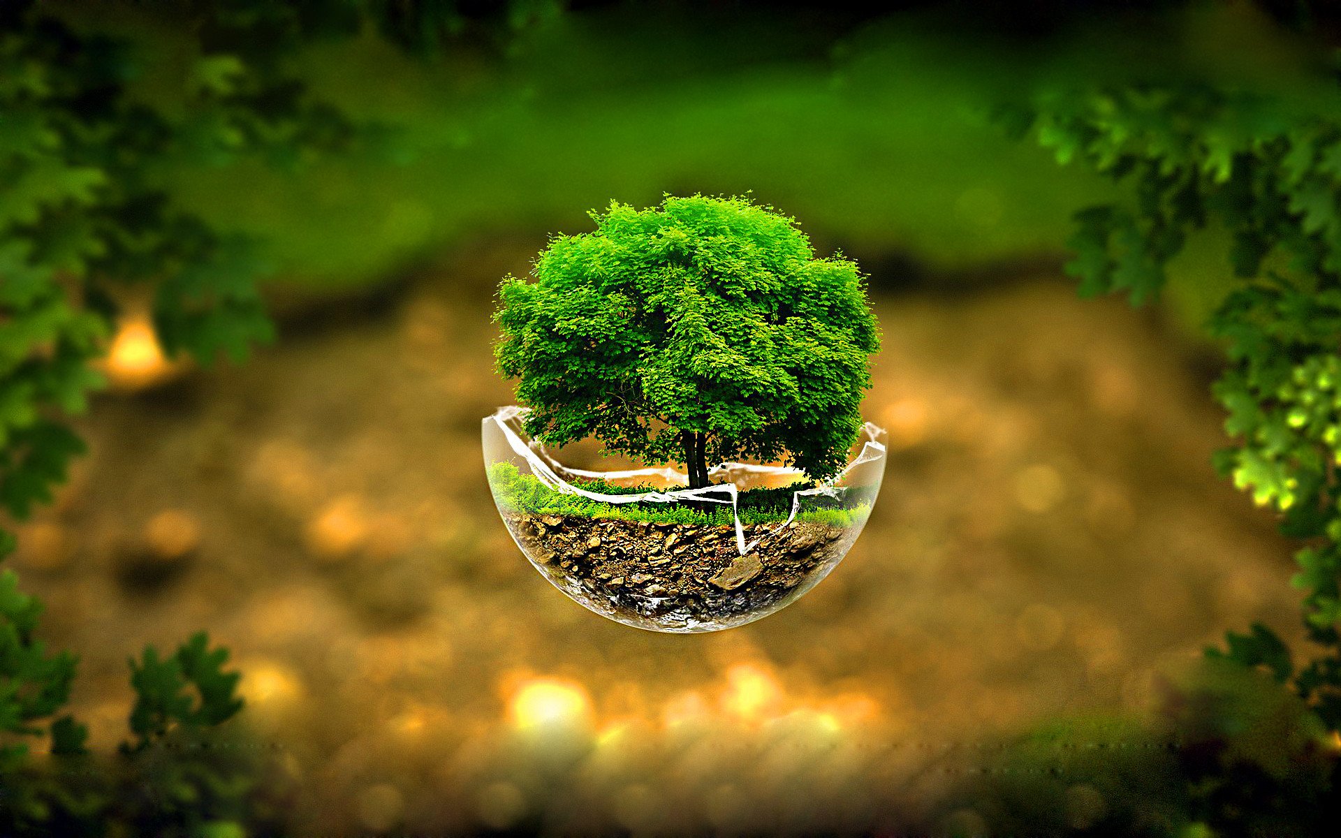 mr_sagar1998's profile banner image