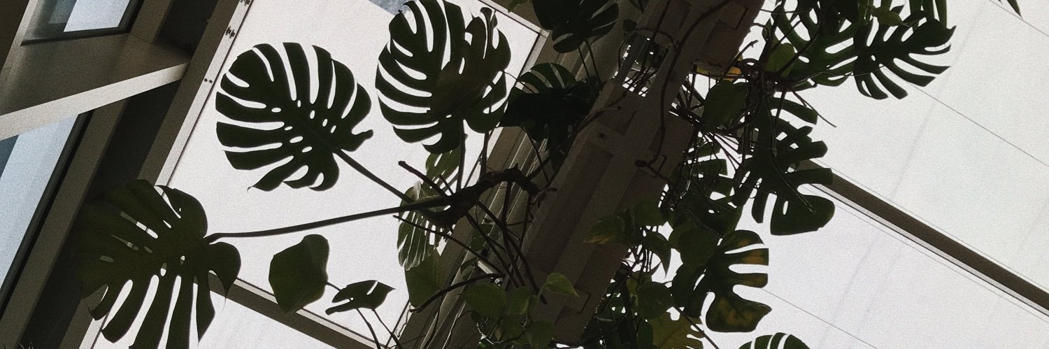 імлисті читання📚🫀 banner