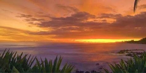 Alis_Aly4's profile banner image