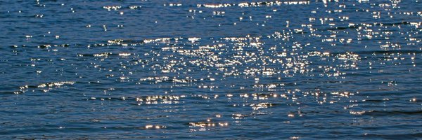 pepeblancoEP Profile Banner