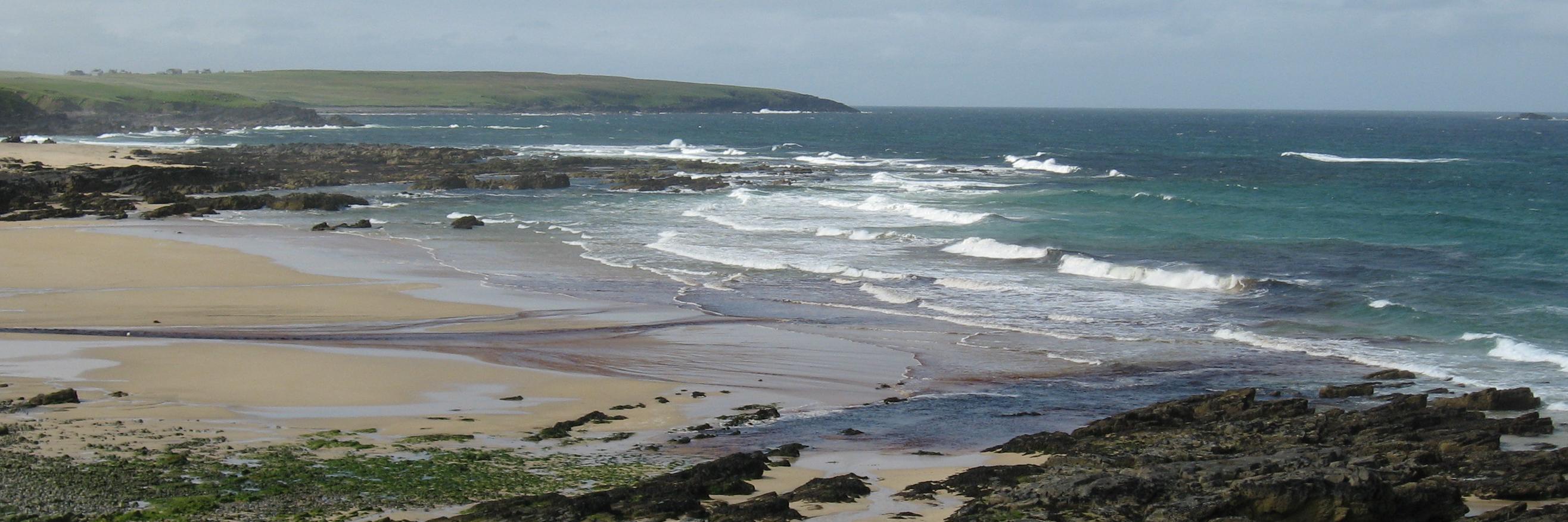 InterimScots's profile banner image