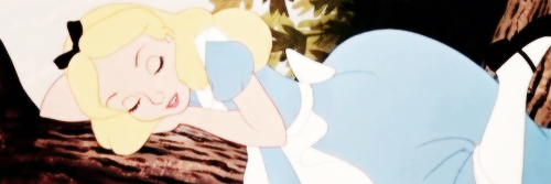 TamElBBB's profile banner image