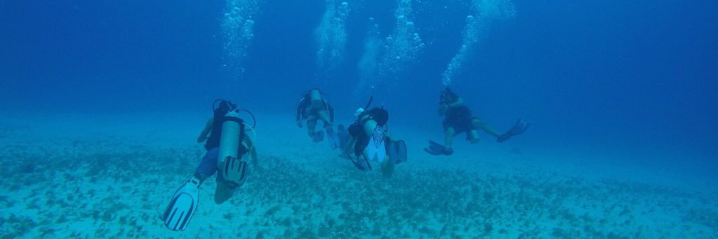 Ulmavil's profile banner image