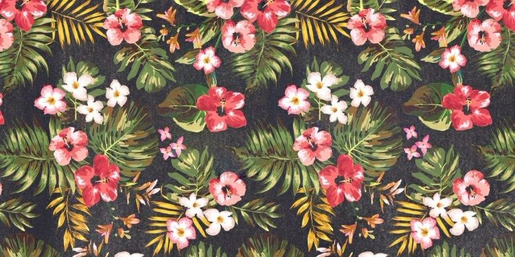 wdksd's profile banner image