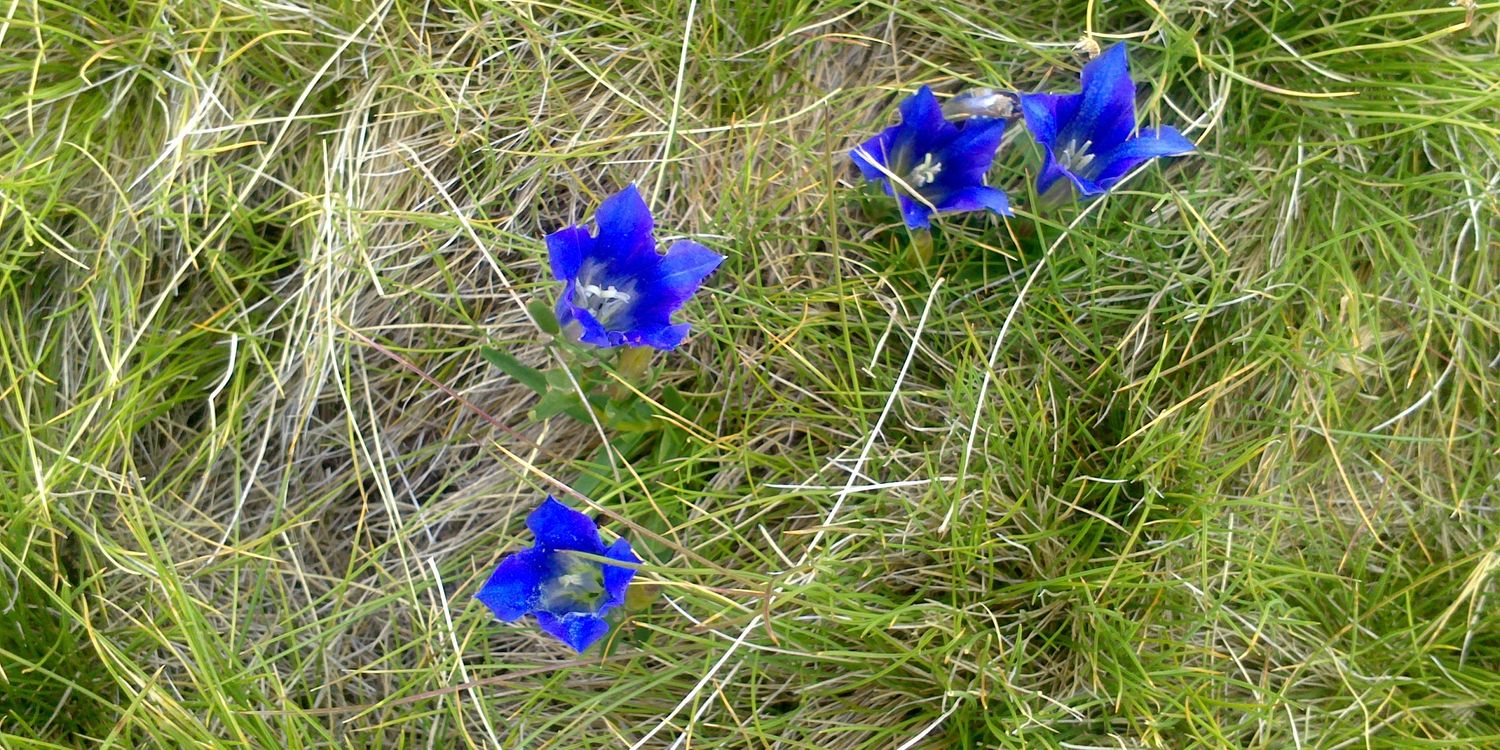 pablo jimenez banner