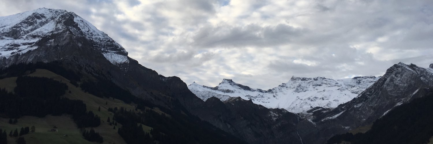 Alpöhi banner