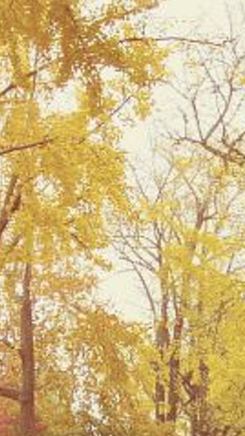 ROCIODG_43's profile banner image
