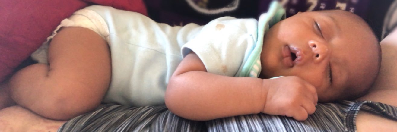 Emily Kaufmann banner