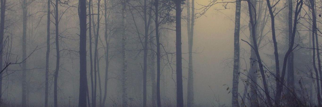 cristi123_'s profile banner image