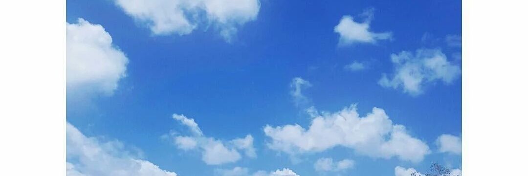 rxcheese's profile banner image