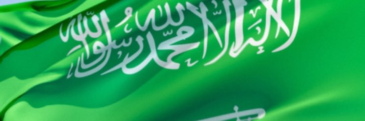 lulwamn's profile banner image