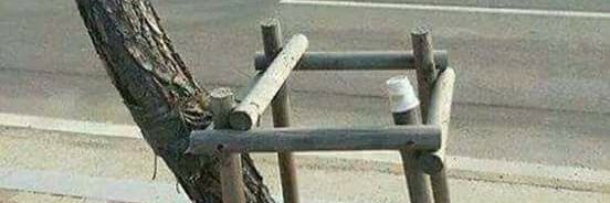 Felipe Schneider ⚪ banner