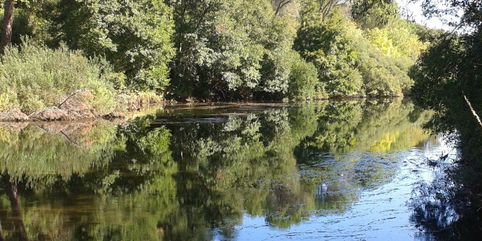 MJ Montero-Simó banner