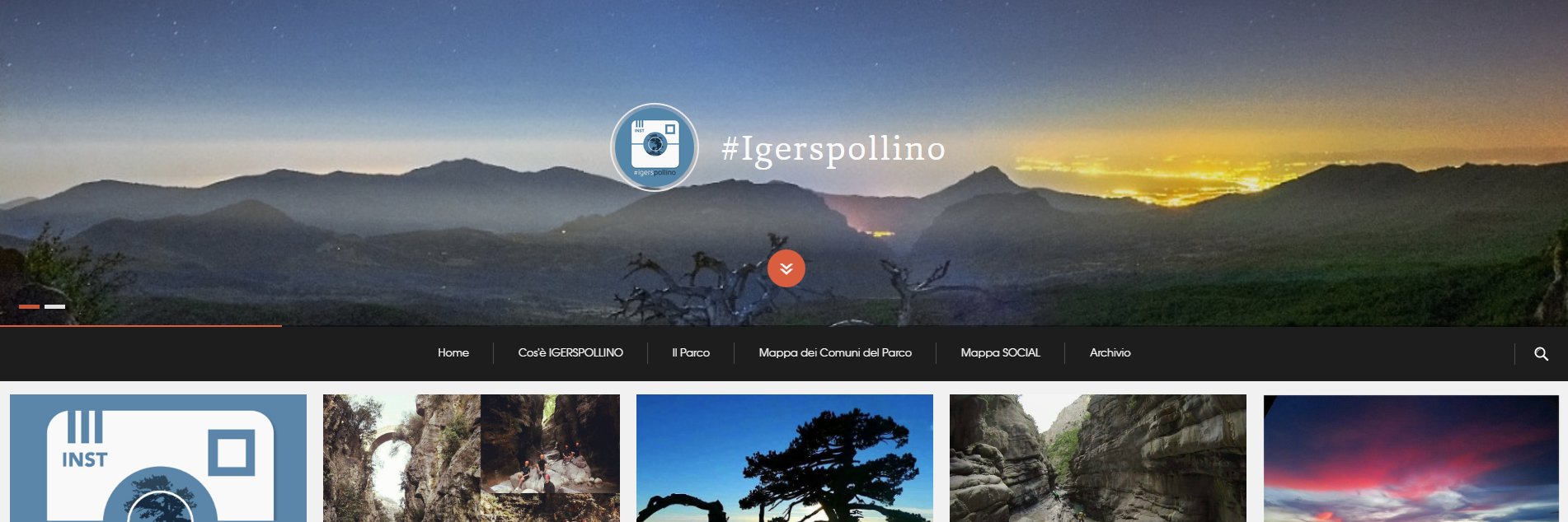 igerspollino's profile banner image
