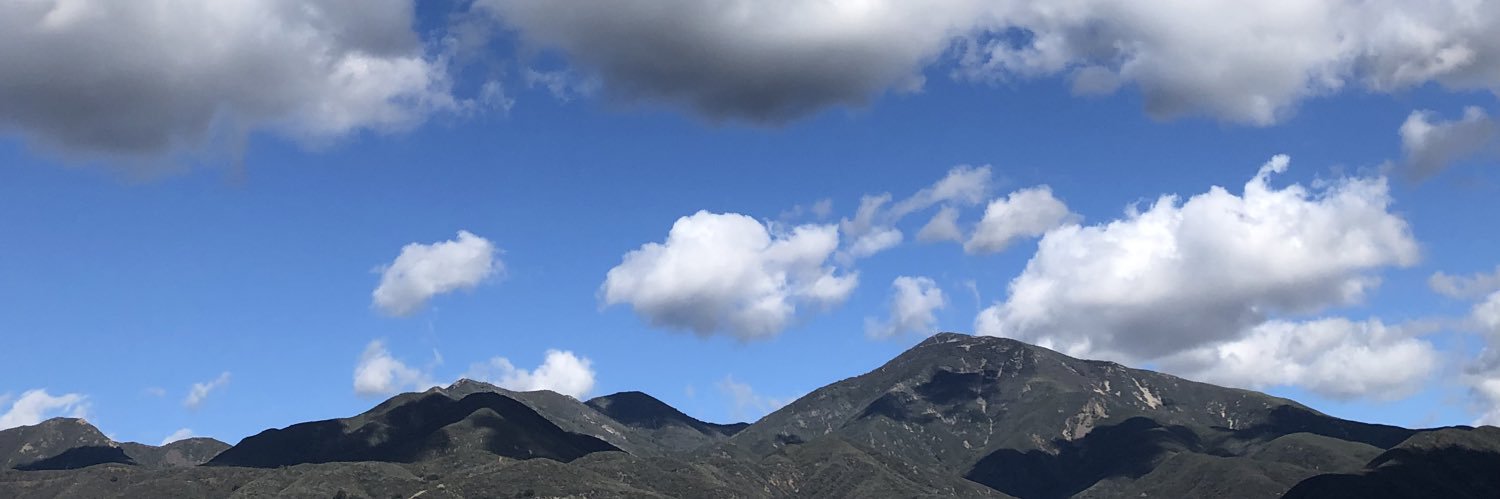 Mike the Terrible 🇺🇸 banner