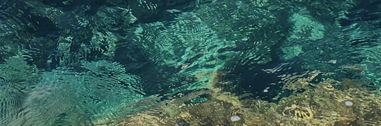 AlessandraVera9's profile banner image