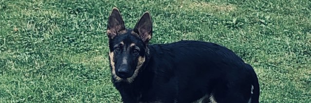 computertacobob's profile banner image