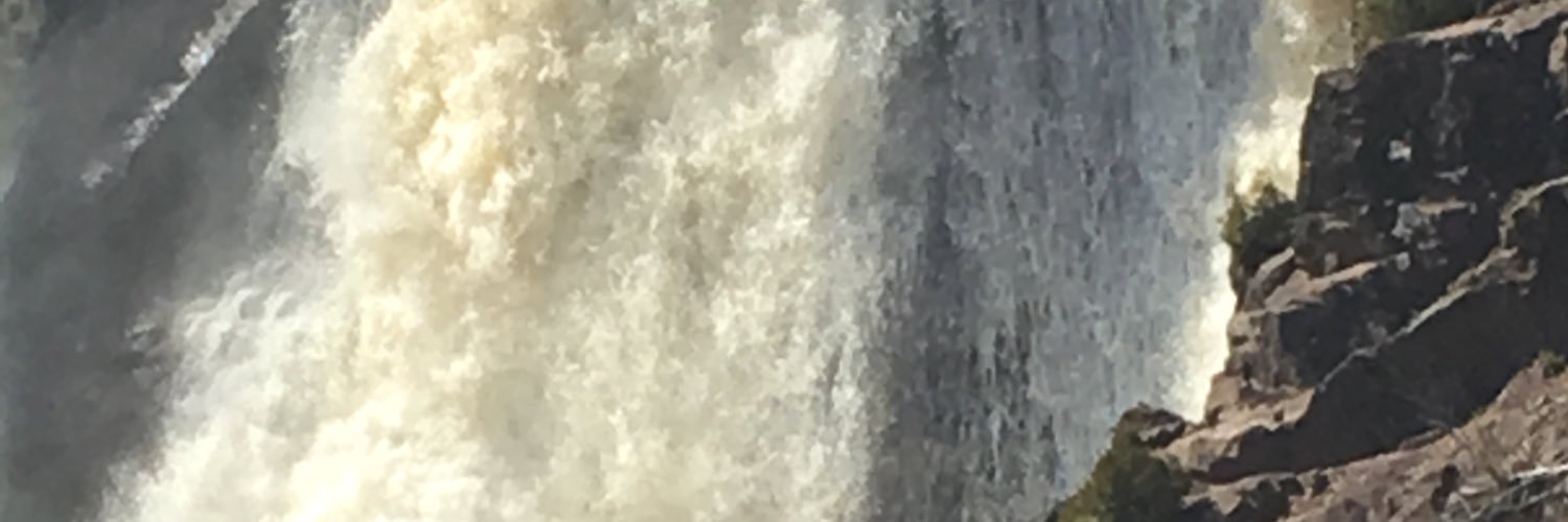 msericasue's profile banner image