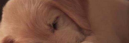 poli1945's profile banner image