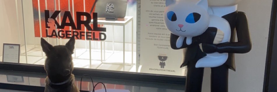 leaaaobegfell's profile banner image