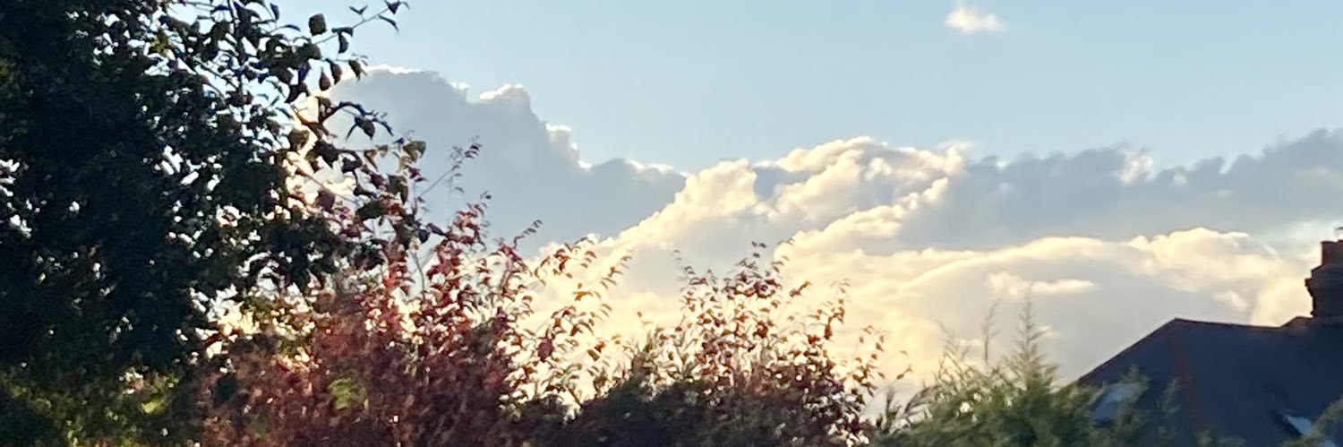 maisyreay's profile banner image