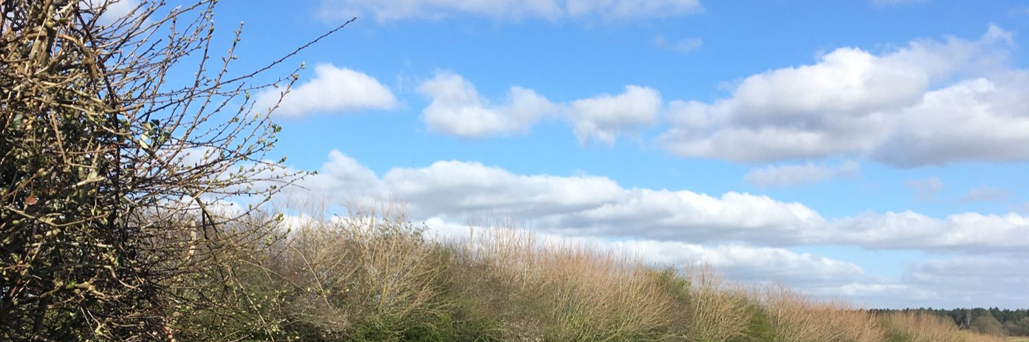 Lizzy Pendleton banner