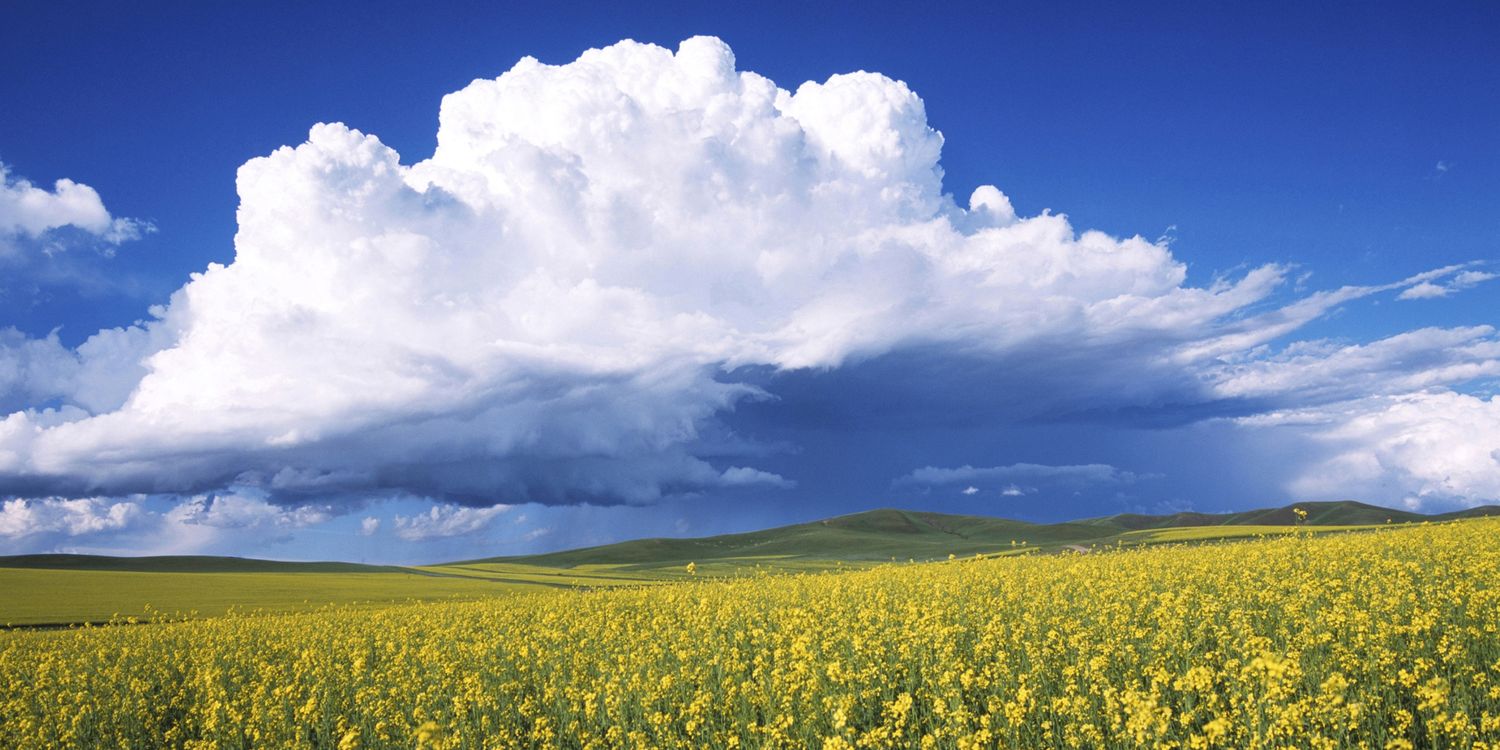 youngman@モバレ始めました banner