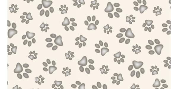 Clauss_Star1's profile banner image